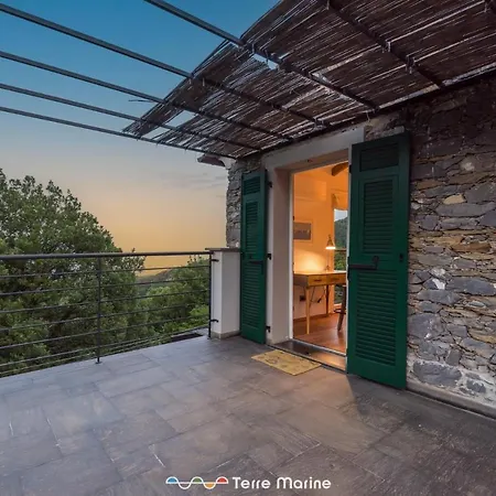 Villa Ca Damare, Terremarine *