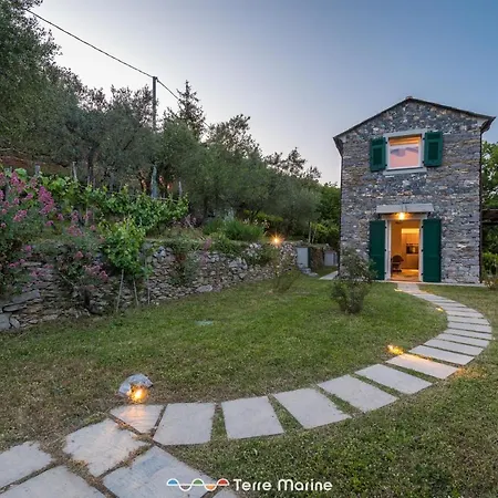 Ca Damare, Terremarine