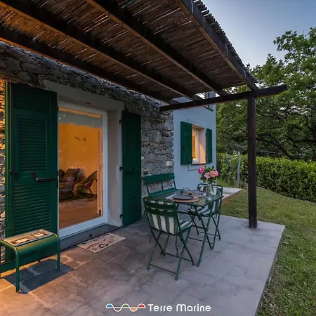 Ca Damare, Terremarine